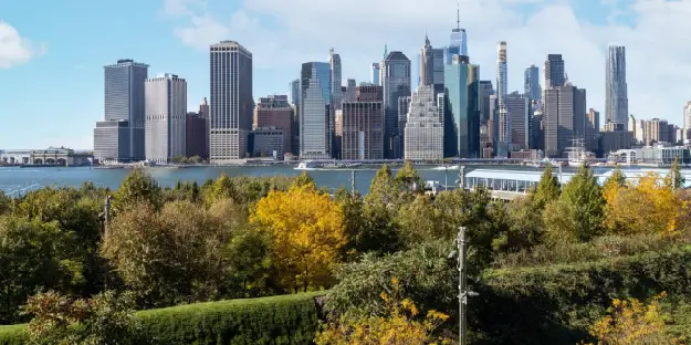 Services-Areas_Brooklyn